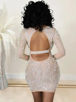 Nightclub Rhinestone Gauze Transparent Long Sleeve Dress -BreezeWear Store P 20210908134631268 359