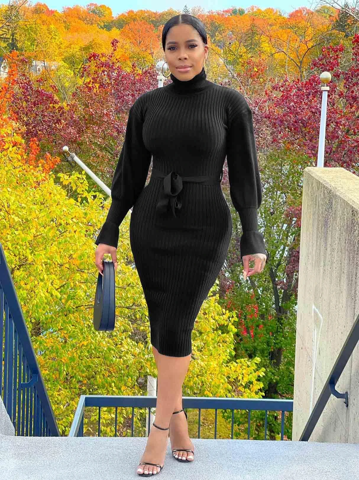 Fashion Women Black Turtle Neck Long Sleeve Dress 3 Fashion Women Black Turtle Neck Long Sleeve Dress