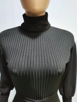 Fashion Women Black Turtle Neck Long Sleeve Dress 8 Fashion Women Black Turtle Neck Long Sleeve Dress -BreezeWear Store P 20211201135139862 329