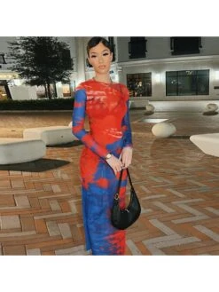 See Through Long Sleeve Bodycon Maxi Dress