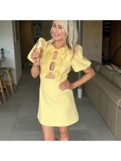 Bow Hollow Out Short Sleeve Dress