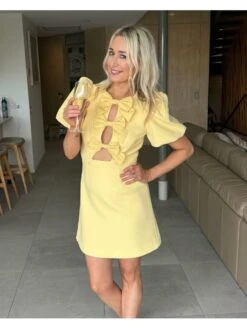 Bow Hollow Out Short Sleeve Dress -BreezeWear Store P 20240416165052319 716