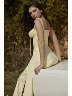 Solid Color Spaghetti Straps Backless Sleeveless Maxi Dresses -BreezeWear Store P 20240612180827749 693